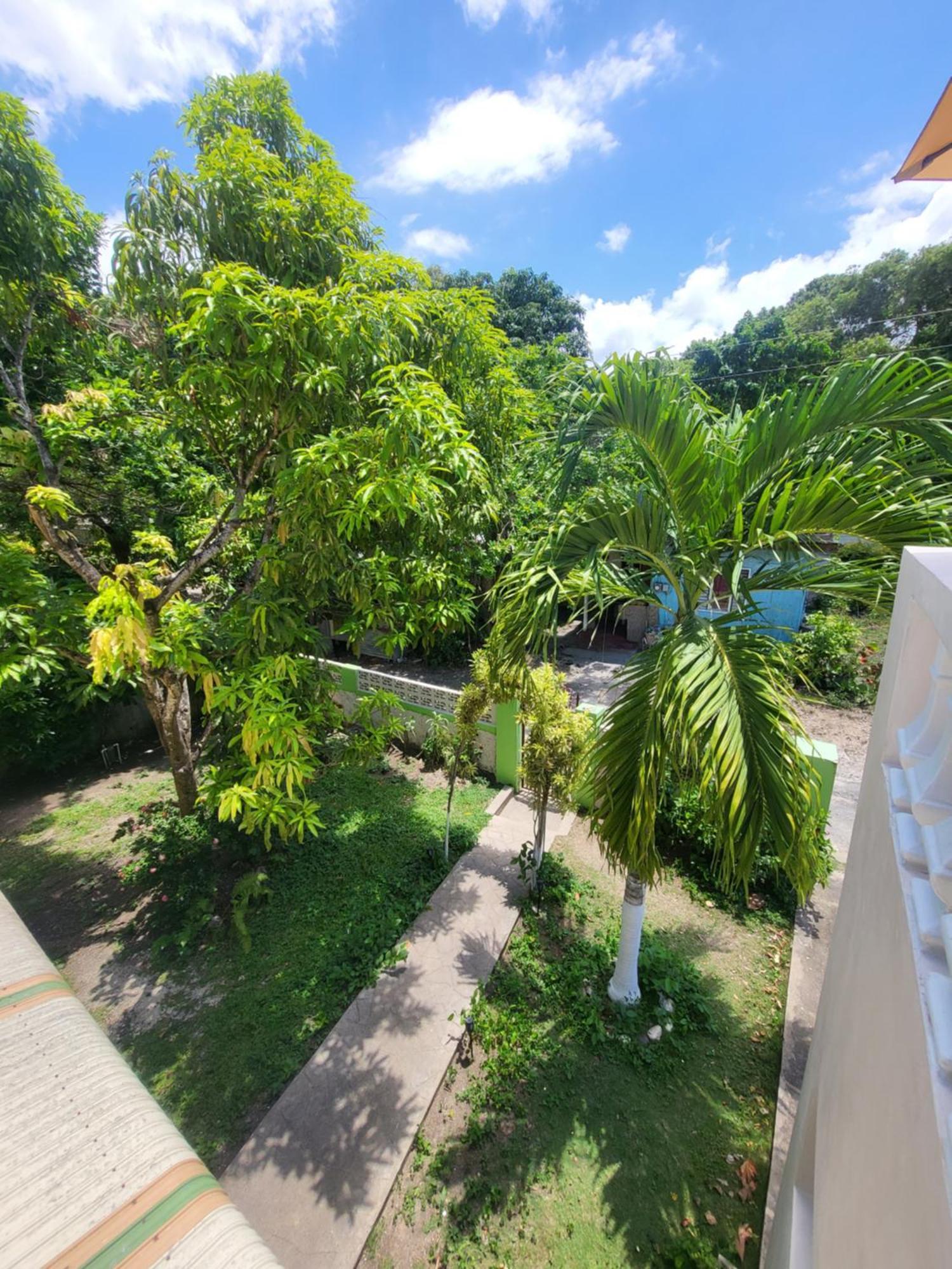 Green'S Palace Jamaica Oracabessa エクステリア 写真