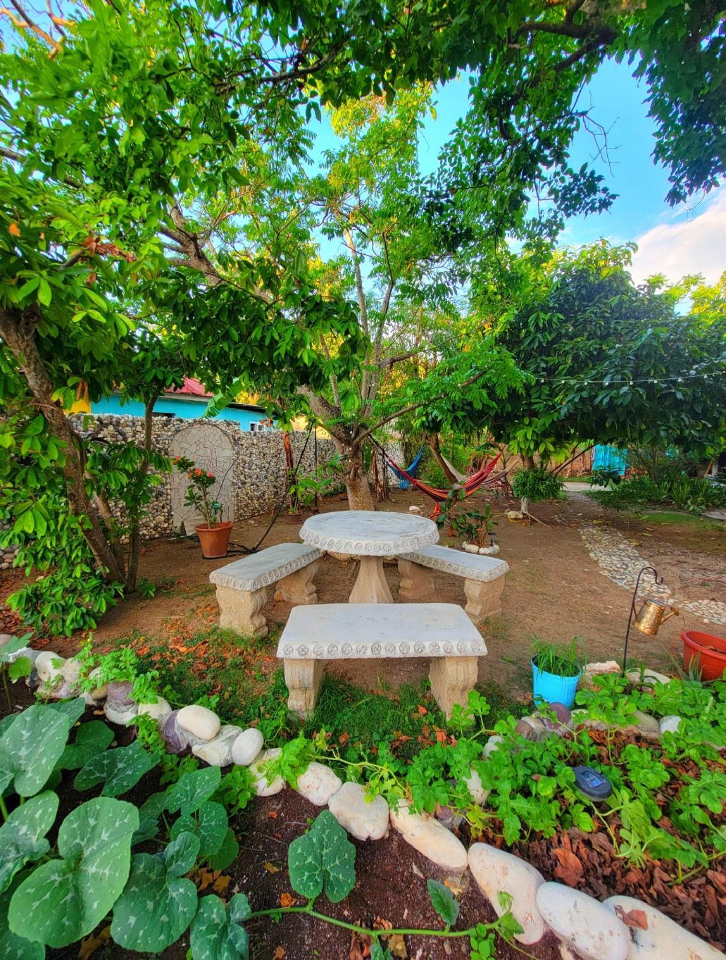 Green'S Palace Jamaica Oracabessa エクステリア 写真